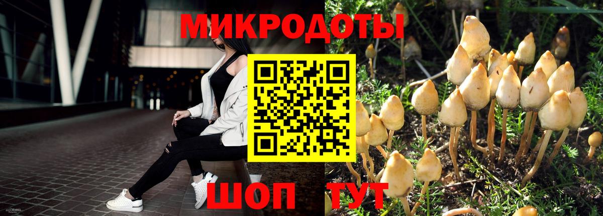 Галлюциногенные грибы мицелий Кандалакша