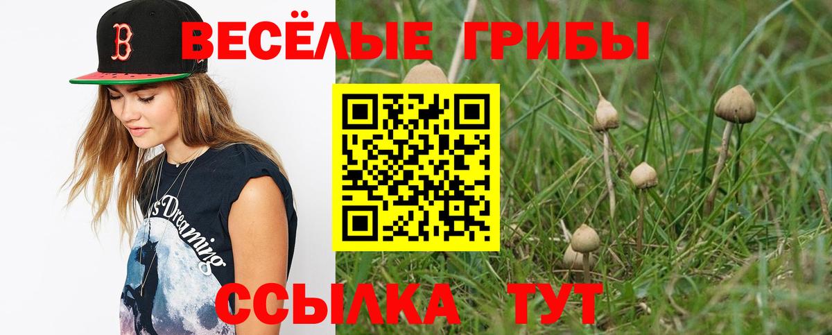 Псилоцибиновые грибы Magic Shrooms  Вход с VPN  Галлюциногенные грибы прущие грибы  Кандалакша 